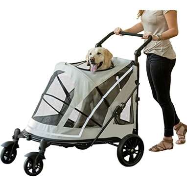 best pram for walking with dogs